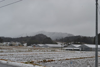 曇り空の下、雪に覆われた畑の中に複数のビニールハウスや建物が点在し、奥には雪が部分的に積もった森林の丘が広がる冬の風景の写真