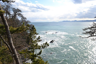 白い波が立ち、水面が煌めく海を高台から撮影した写真