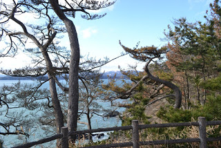 高台の柵の中から、松の木々越しに海が見える写真