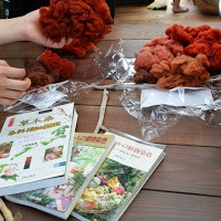 机に置かれた赤く色づいたあかね染めの羊毛を手にとっている写真