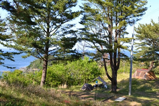 木々に囲まれた開けた場所にテントが張られている、海辺のキャンプ場の風景を写した写真