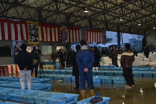 天井の高い金属製の梁がある魚市場内で、紅白幕や大漁旗などの装飾が背景にあり、床には魚や海産物が入っていると思われる青いプラスチック容器が多数並べられ、数人の人々が立って見守っている様子を写した、初競りの様子の写真