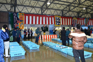 床に魚や海産物が入っている青い容器が並べられており、紅白幕や大漁旗が吊るされた金属製の天井構造が見える屋内の魚市場で、ステージに立つ男性の乾杯の音頭と同時に周囲の人達も一緒に乾杯を行っている様子の写真