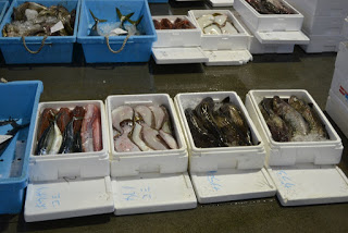 濡れた床の上に白い発泡スチロールや青のプラスチック容器が並べられ、それぞれにさまざまな種類の魚が入っている魚市場の写真