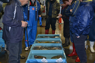 青い容器に魚が入って並べられている場所で、ジャケットや長靴などを着用した人々が周囲に立っており、何人かはメモ帳やペンを持っている競りの様子の写真