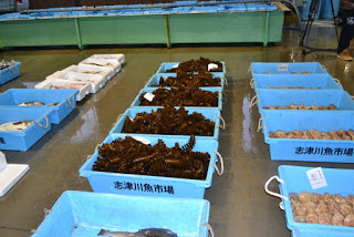 濡れた床の上に容器「志津川魚市場」と書かれた表示がある青いプラスチック容器が列になって並べられ、それぞれに魚や貝類、海藻などさまざまな海産物が入っている写真