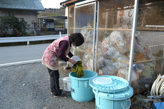 フェンスで囲まれたごみ置き場の前に置かれた2つの水色の大きな蓋つきバケツの一つに、手に持ったバケツから生ごみを捨てている女性の写真