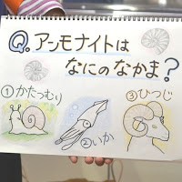 手書きで「アンモナイトはなにのなかま？1.かたつむり、2.いか、3.ひつじ」と書かれ、それぞれのイラストが描かれているスケッチブックの写真