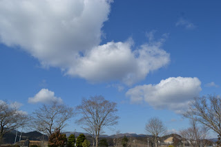 木々の先に山並みが見え、青空に白い雲が連なって浮かんでいる様子の写真