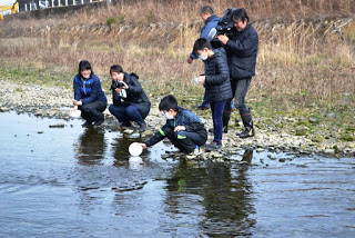 男の子が川のほとりにしゃがんで稚魚を放流している様子を周りに集まった人が撮影したりしている様子の写真