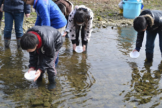 足まで川の中に入った子どもたちが、白い容器をそっと水面に近づけている様子の写真