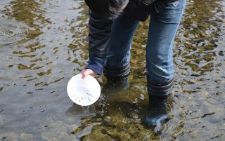 足まで川の中に入った男の子が、数匹の稚魚が入った白い容器を水面に向かって傾けている写真