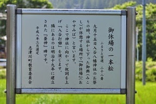 緑の草地の中に設置された、一本松についての説明文が縦書きで記されている案内板をアップで撮影した写真