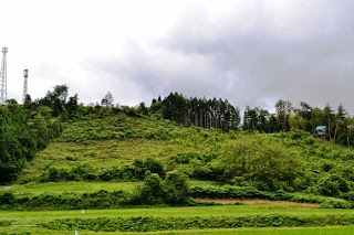 手前に草地が広がり、その奥に木々に覆われた小高い丘と通信塔が立ち、右側にブルーシートが見える建物が建っている風景の写真
