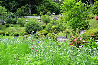 色鮮やかな花々が咲き乱れ、緑の草と木々に囲まれた公園の花壇の風景写真