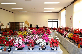 赤、白、ピンク、黄色のシルクフラワーが部屋いっぱいに飾られている写真