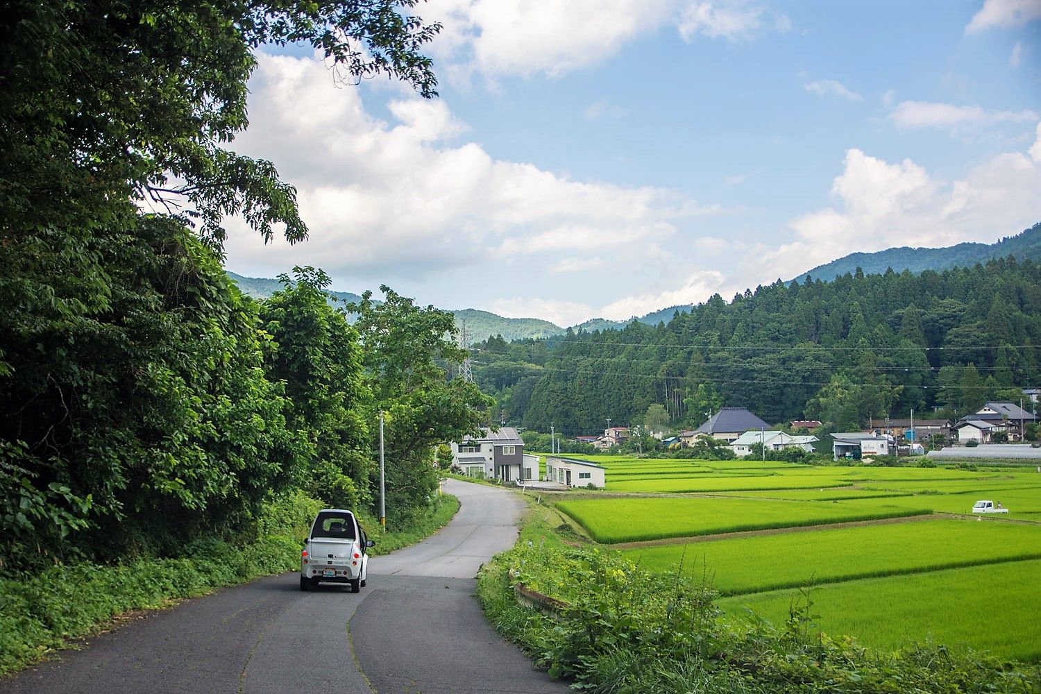 木々と田んぼが広がる長閑な山間の風景の中を、小さい車が進んで行く様子を撮った写真
