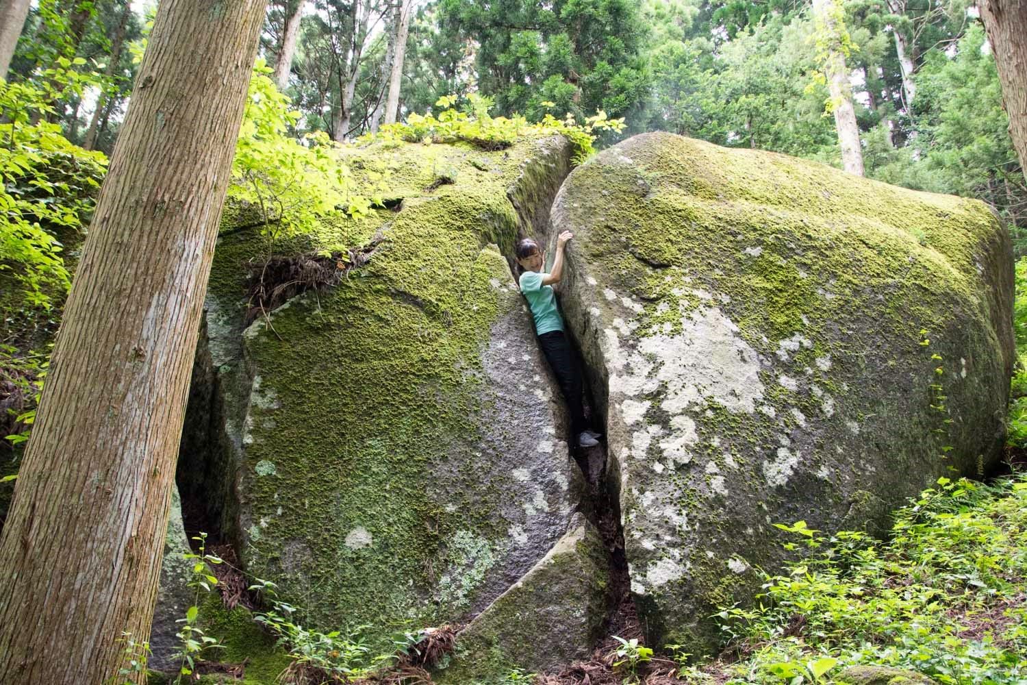 木々に囲まれた森の中で、苔に覆われた巨大な二つの岩の割れ目に女性が入り通り抜けようとしている写真