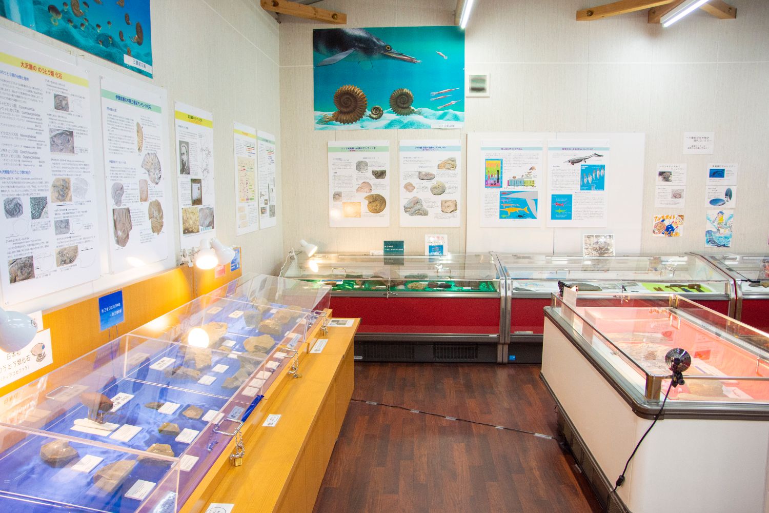 壁にアンモナイトなどの写真や説明ボードが並び、壁沿いや中央に設置されたショーケース内に沢山の化石が展示されている写真