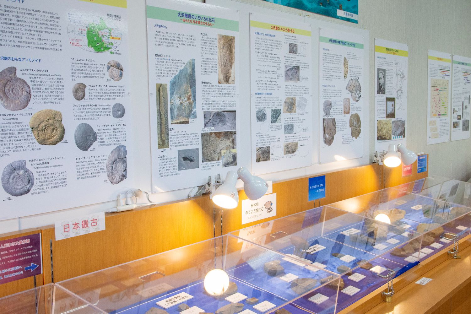 説明ボードが並んだ壁沿いに「日本最古」と書かれた札が掲示された沢山の化石が展示されたショーケースが設置された室内の写真