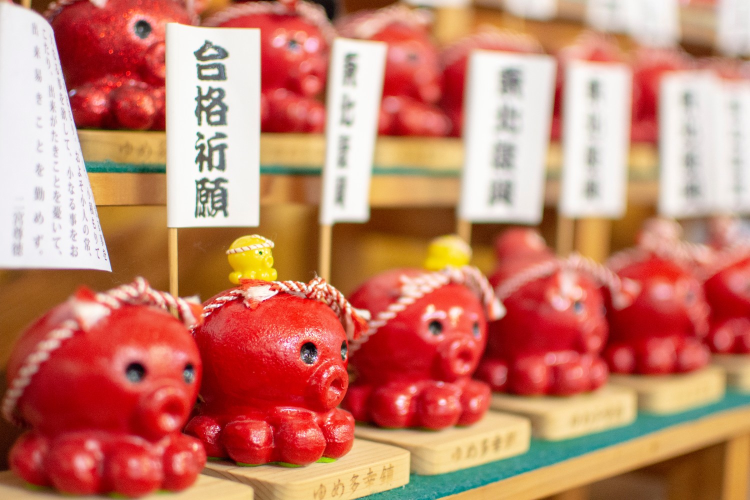 赤いタコの形をした置物が並び、それぞれに「合格祈願」などの札が立てられている写真