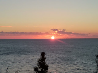 水平線から昇ったばかりの太陽が、薄暗い空を赤く照らしている風景を松の木越しに撮影した写真