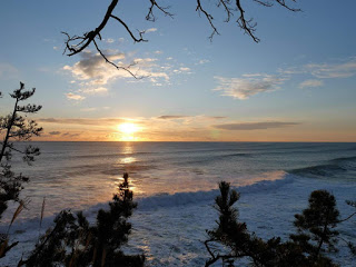 水平線の少し上に昇った太陽の光が水面や空に明るく反射している風景を松の木越しに撮影した写真