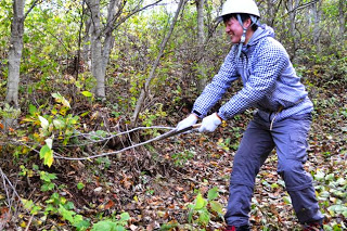 林の中で、作業用ヘルメットをかぶった人が木の枝を道具で切っている様子が写っている写真