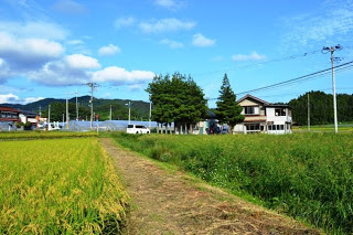 黄金色の稲穂が広がる田んぼのあぜ道の先に集落の家々や木々が見える写真