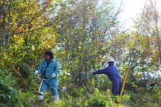 緑色と紺色の作業着を着た2人の作業者が斜面の林の中で,木の枝や草が生い茂る中、伐採作業をしている様子の写真