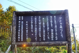 活動の趣旨や目的が記されている「ブナの森づくり」と題された木製看板を写した写真