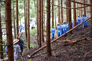 森の斜面に青いジャージを着た生徒たち整列し、斜面に並んで上の方向を見ている様子の写真