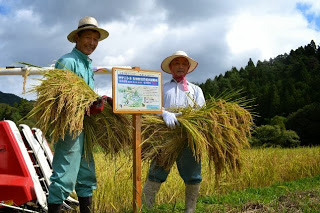 麦わら帽子をかぶった二人の男性が収穫したばかりの稲を手に持ち笑顔で写っている写真
