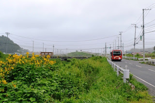 緑の草地沿いの道路を赤いバスが走っている写真