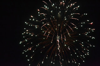 夜空に大きく広がる色鮮やかな花火の様子を捉えた写真