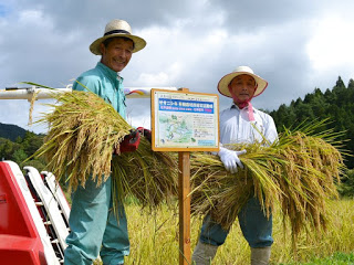田んぼの前に図や文字が乗った案内が掲示された木の看板が立っており、その後ろで、つばの広い帽子をかぶった男性二人が収穫した稲の束を抱えて立っている写真