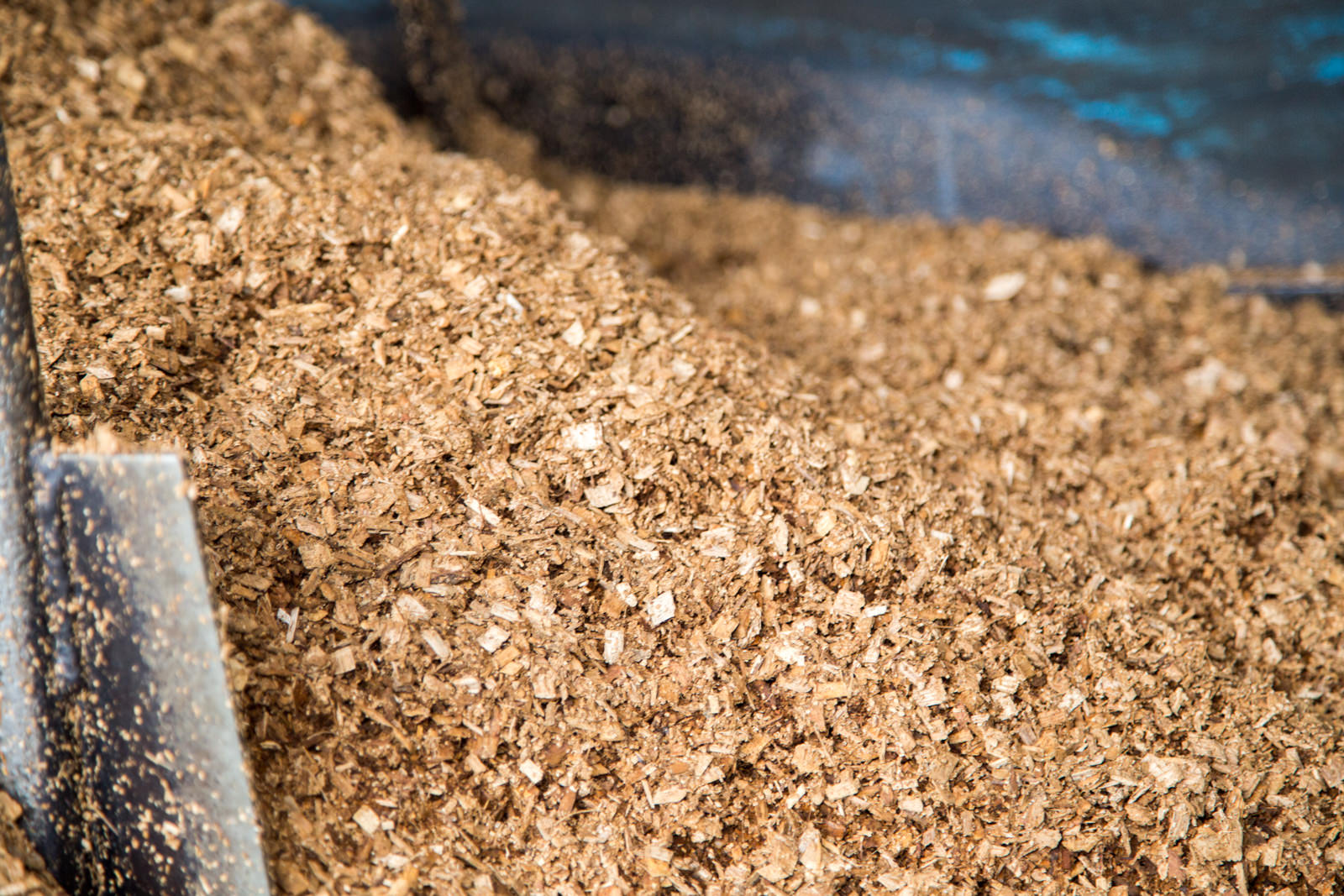 細かく砕かれたおが粉が大量にある様子をアップで撮影した写真