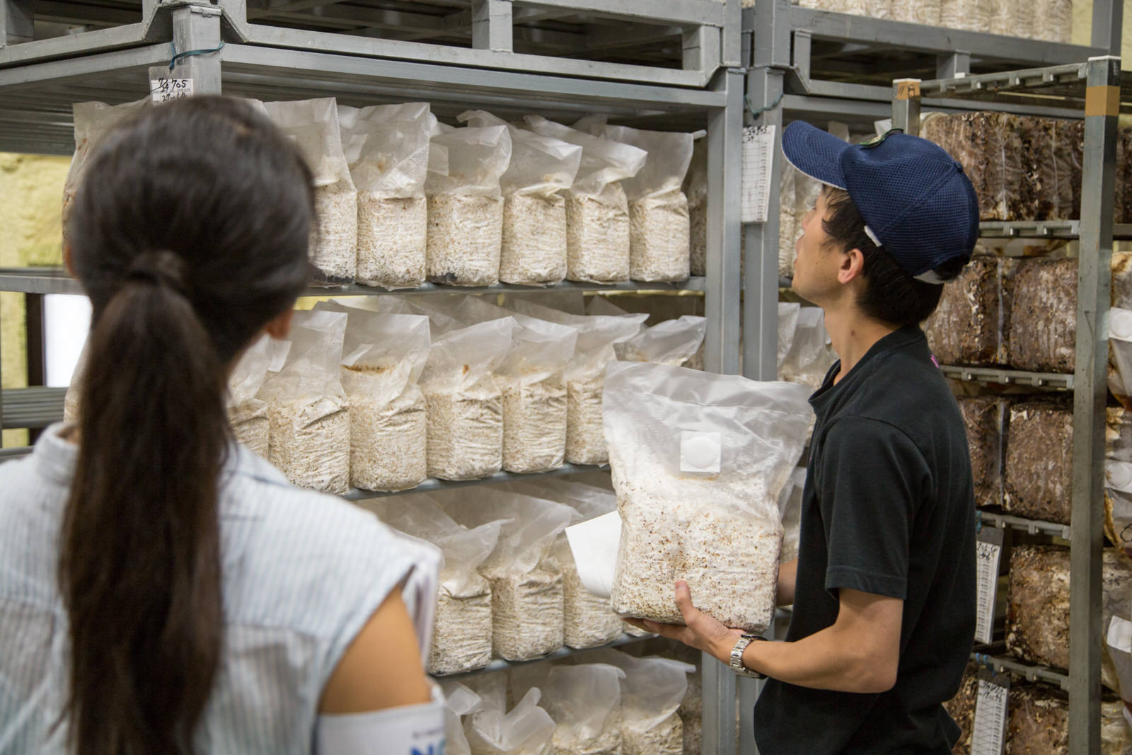 男性が棚に並ぶ栽培用の袋を一つ手に取り、女性に説明している写真