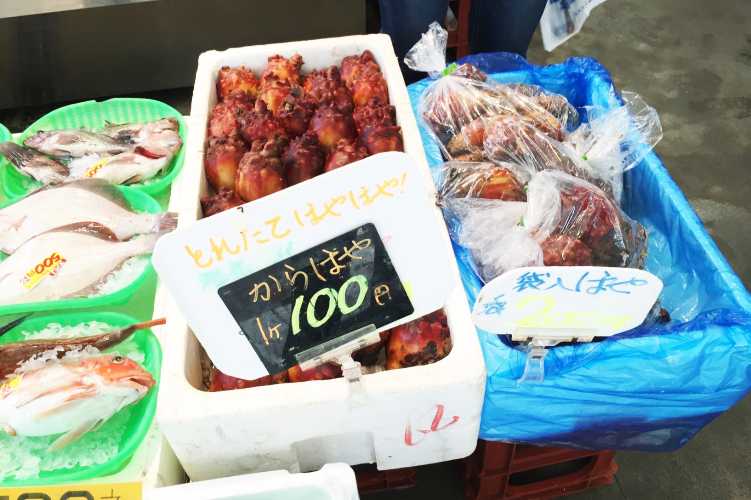緑色の籠に並んだたくさんの魚の横で、殻付きのホヤがたくさん入った白い発泡スチロールと、袋入りのホヤが入った青いビニールをかぶせた箱が並び、れぞれに価格札がつけられている写真