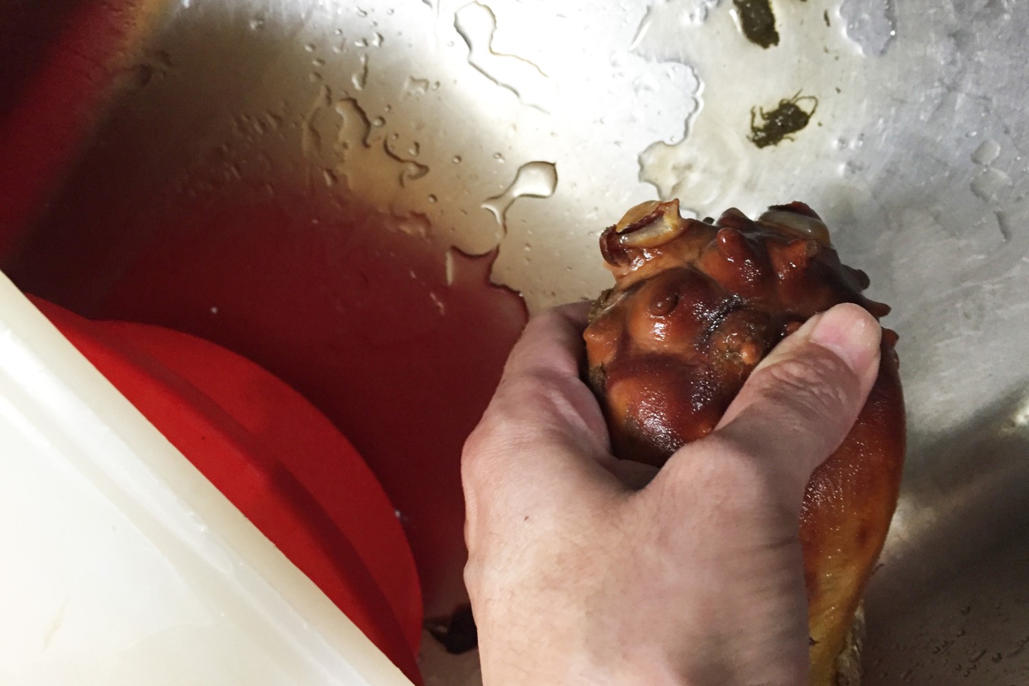流し台の上でホヤの外皮をしっかり握り、切った出水口の先端から排泄物を出している様子の写真