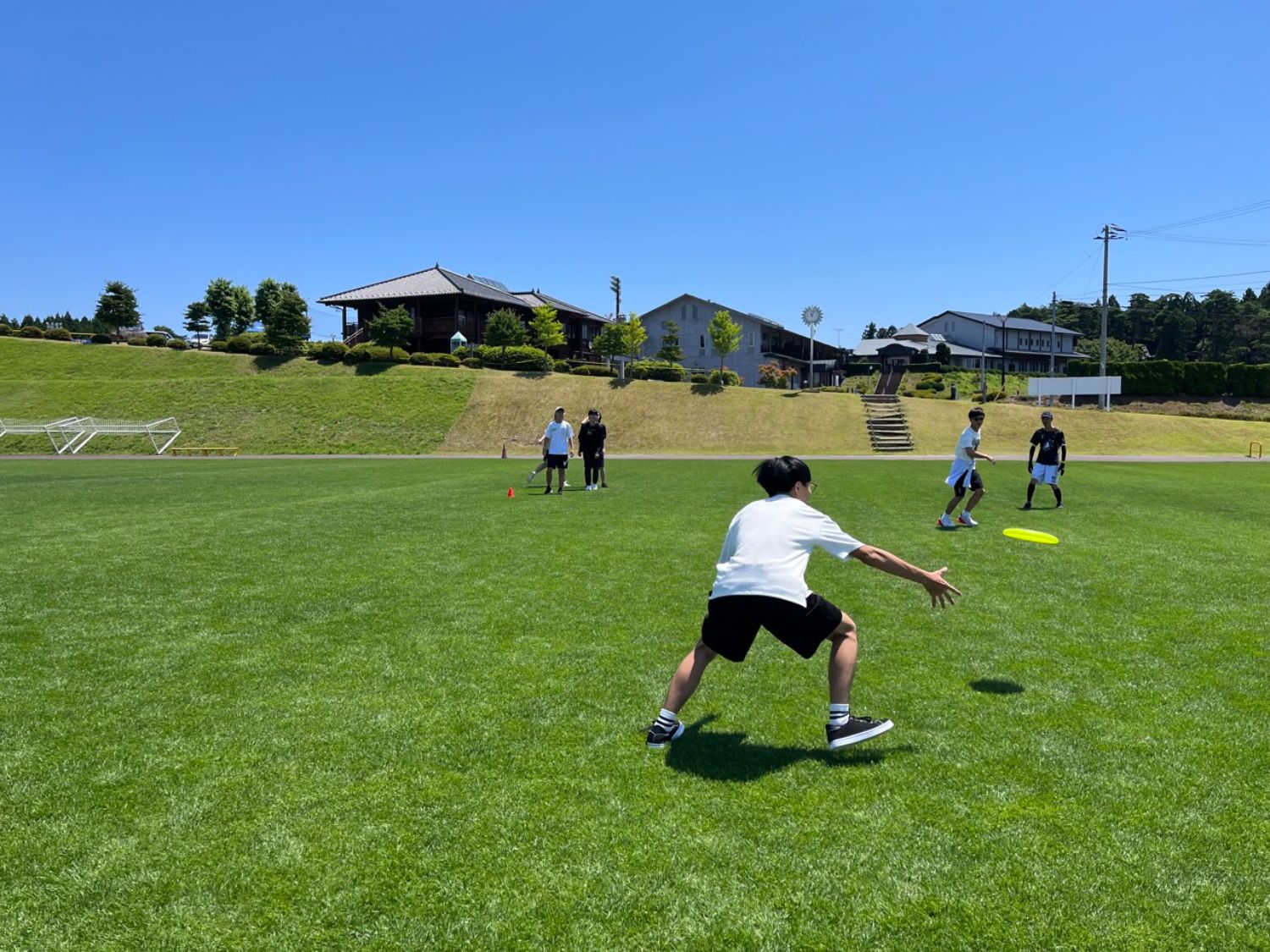 晴天の芝生グラウンドで、白いTシャツを着た若者がフリスビーをキャッチしようと身をかがめて構えている様子を中心に、数人の参加者が広がってプレーしている様子の写真