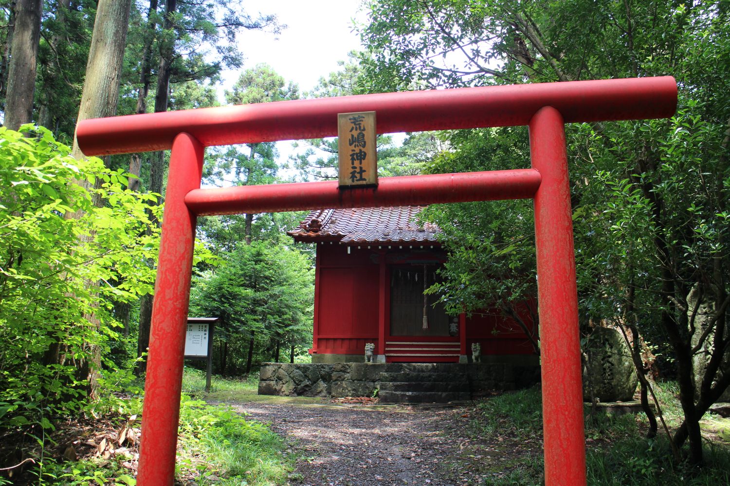 緑に囲まれた森の中に朱色の鳥居が立ち、その奥に「荒崎神社」という名の小さな赤い社殿が静かに佇み、参道の両脇には木々が生い茂る神聖な雰囲気が漂っている写真