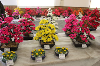 小さなタンポポのような作品から大きなツツジのような作品まで、色とりどりの作品がずらりと展示された会場内の写真