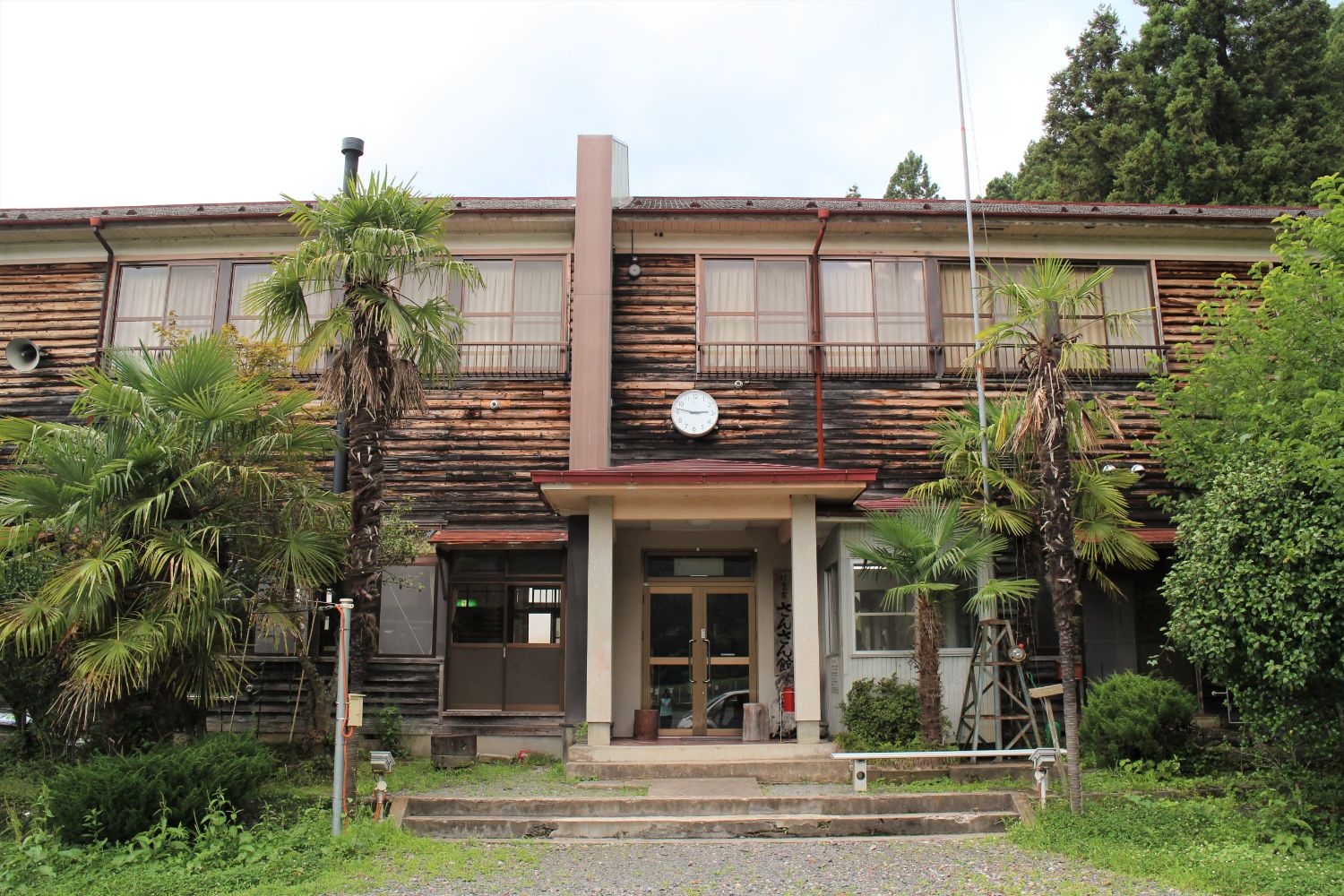 周囲にヤシのような木々が生えており、入口の庇の上に大きな時計が設置された古い木造校舎風の建物の写真