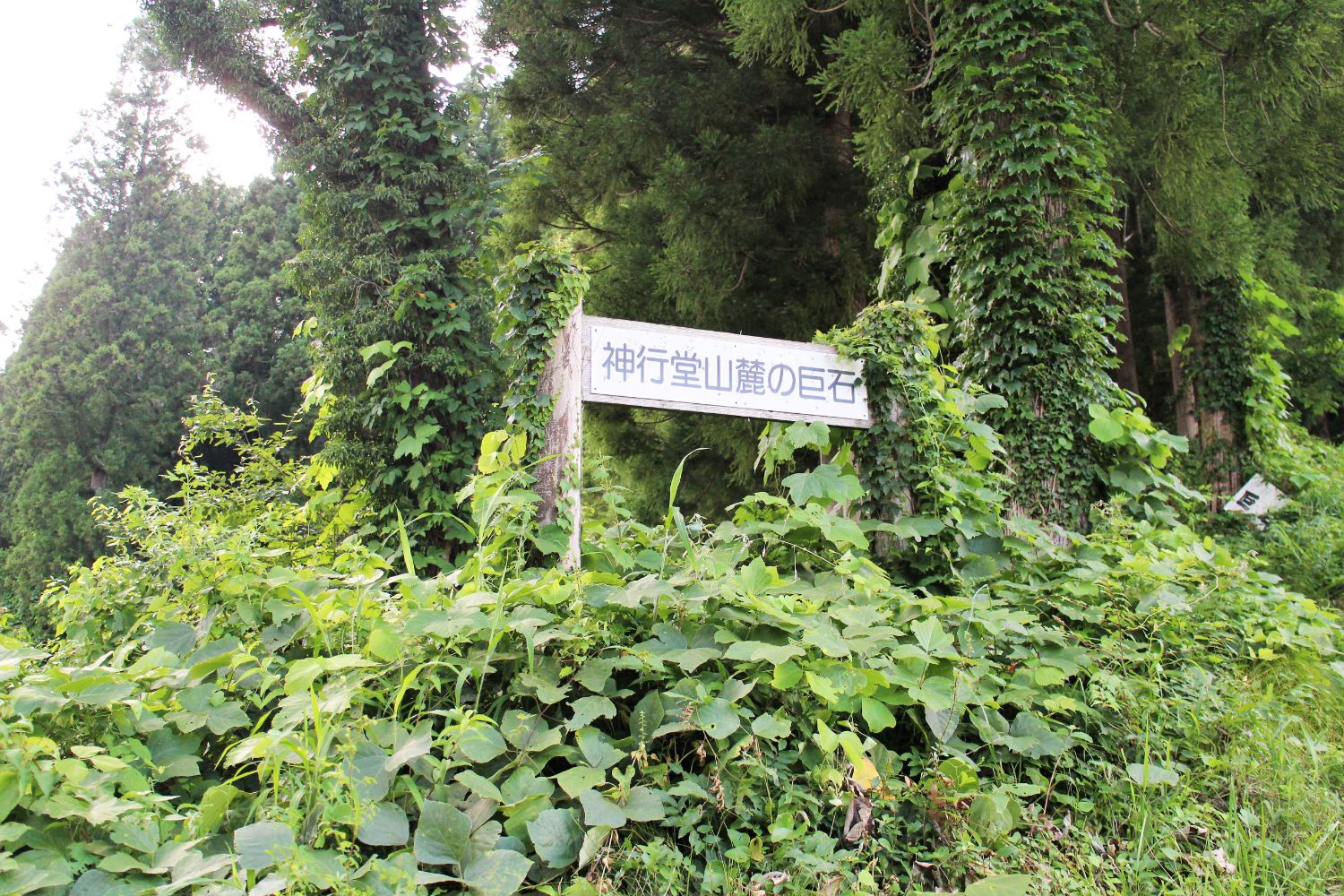 緑の木々に覆われた中に「神行堂山麓の巨石」と書かれた白い看板が立っている写真