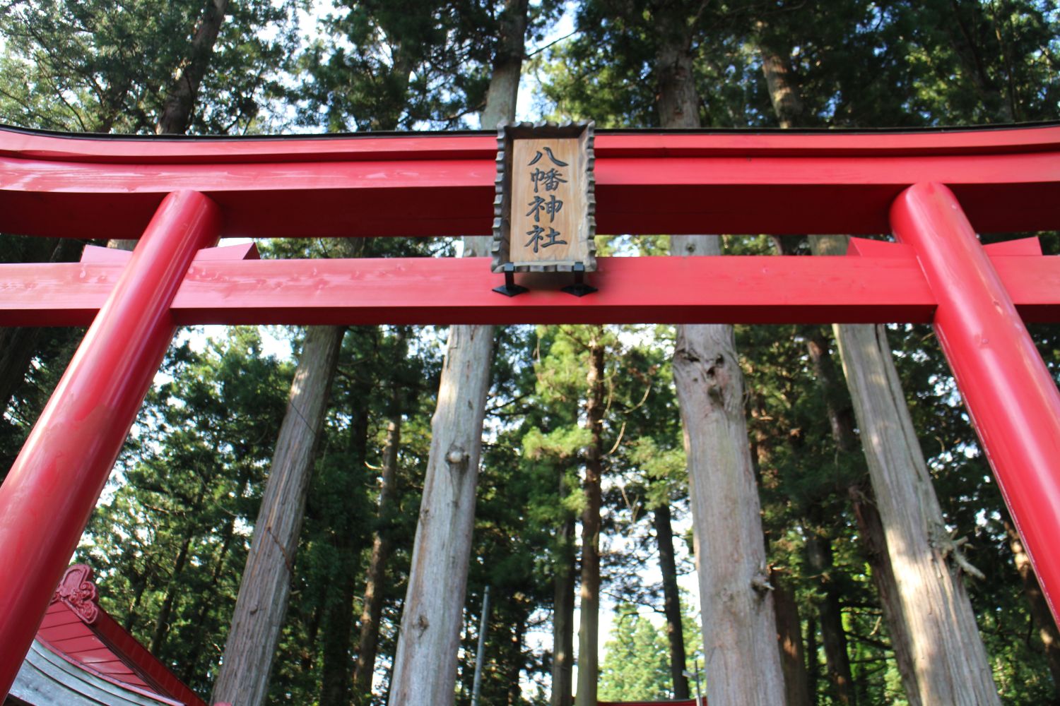 上部に「八幡神社」と書かれた木の札が掛けられている、木々に囲まれた森の中に立つ赤い鳥居の写真