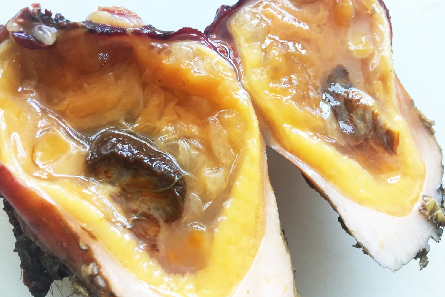 縦半分にカットされた黄色く光沢があるホヤの断面中央に茶色の排泄物が残っている様子をアップで撮影した写真