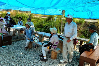 青いテントの下で、グランドゴルフの練習を行っていた高齢者たちが、丸太のベンチに座って休憩している様子の写真