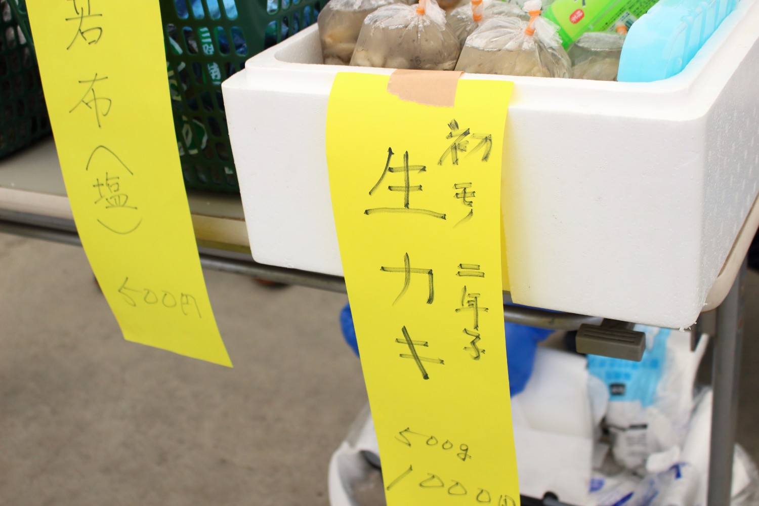 発泡スチロールの箱の中に生牡蠣が並べられており、箱の外側にはその値段が書かれた黄色い紙が貼られている写真