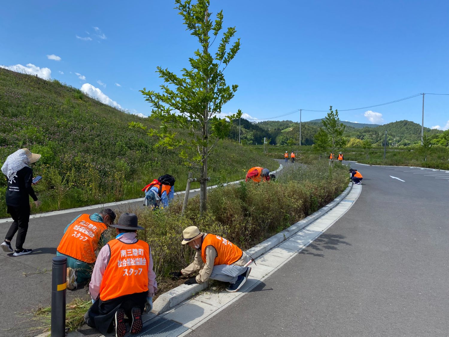 晴天のもと、オレンジ色のベストを着た人々が道路脇の植え込みで草を抜いたり整備をしたりしている様子の写真